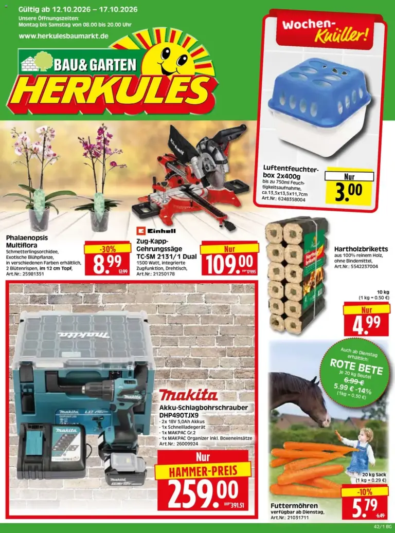 HERKULES Bau & Garten zum Blättern vom 12.10.2026 bis 17.10.2026